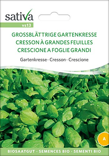 Sativa Rheinau vs13 Gartenkresse Grossblättrige Gartenkresse (Bio-Kressesamen) von Sativa Rheinau