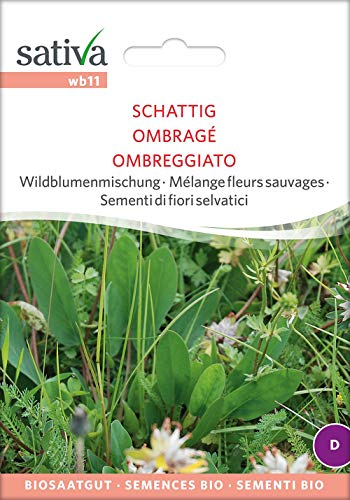 Sativa Rheinau wb11 Wildblumenmischung Schattig (Bio-Wildblumensamen) von Sativa Rheinau