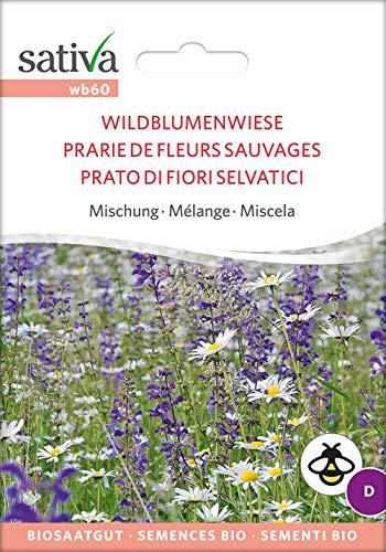 Sativa Rheinau wb60 Wildblumenwiese Mischung (Bio-Blumenmischung) von Sativa Rheinau