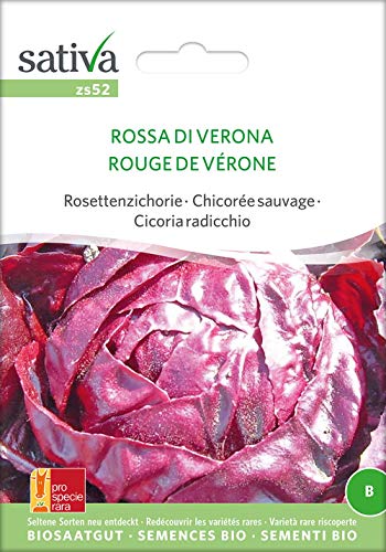 Sativa Rheinau zs52 Rosettenzichorie Rossa Di Verona (Bio-Salatsamen) von Sativa Rheinau