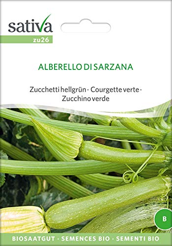 Sativa Rheinau zu26 Zucchini Alberello Di Sarzana (Bio-Zucchinisamen) von Sativa Rheinau