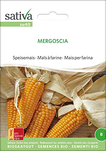 Speisemais Mergoscia | Bio-Maissamen von Sativa Rheinau