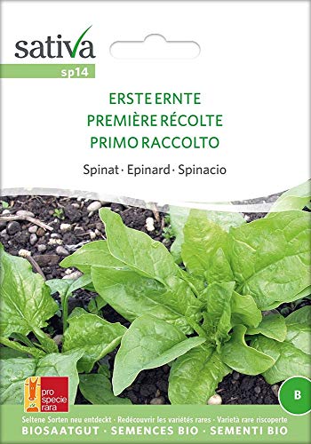 Spinat Erste Ernte | Bio-Spinatsamen von Sativa Rheinau