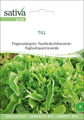 Fingersalat grün Till | Bio-Salatsamen von Sativa