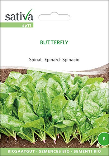 Sativa Rheinau sp11 Spinat Butterflay (Bio-Spinatsamen) von Sativa