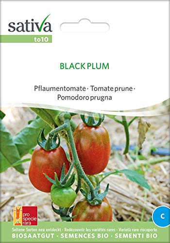 Sativa Rheinau to10 Pflaumentomate Black Plum (Bio-Pflaumentomatensamen) von Sativa