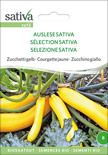 Sativa Rheinau zu13 Zucchini Auslese Sativa (Bio-Zucchinisamen) von Sativa