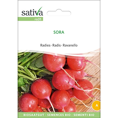 Sativa Saatgut Radieschen Sora von Sativa