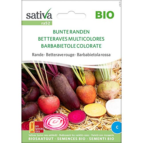 Sativa Saatgut Rote Rübe Bunte Randen von Sativa