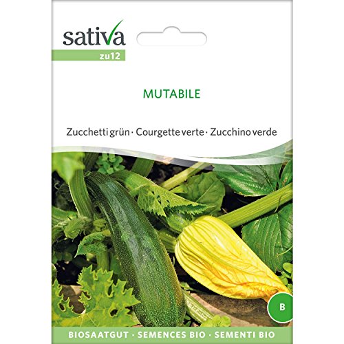 Sativa Saatgut Zucchini MUTABILE von Sativa
