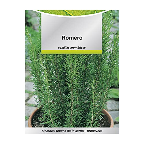 Semillas Aromaticas Romero (0,1 g) Gartenkultur, Horticola, Semillas Huerto. von Saturnia