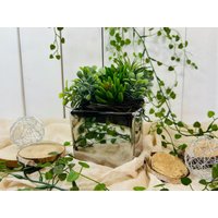 Sukkulentengestäck Anja Sukkulenten, Künstliche Pflanzen, Grünpflanzen, Blumentopf, Arrangement, Gesteck, Zeitlos, Home Decor, Modern von Sauerlanddeko