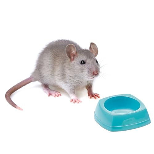 Heim 5120 Hamsternapf von Savic
