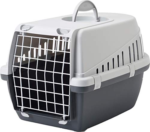SAVIC Trotter 2 Transportbox anthrazit/grau SAVIC Trotter 2 Transportbox anthrazit/grau von Savic