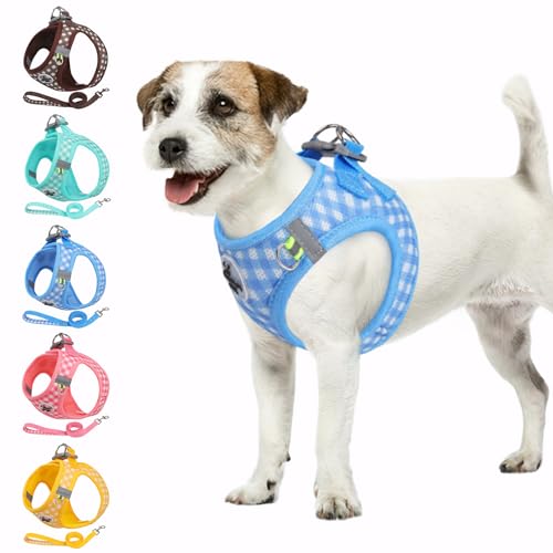 Savlot Reflektierendes Hundegeschirr für kleine & mittelgroße Hunde, Sicherheitsgeschirr mit Step-in Design für Nachtspaziergänge, Y-Form & Haarschonend (XS-L, Blau) von Savlot