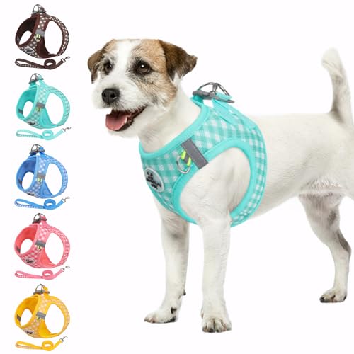 Savlot Welpengeschirr Mitwachsend Hundegeschirr für kleine Hunde, Step-in Design, Weiches & Atmungsaktives Sicherheitsgeschirr für Welpen und Junghunde (XS-L, Grün) von Savlot