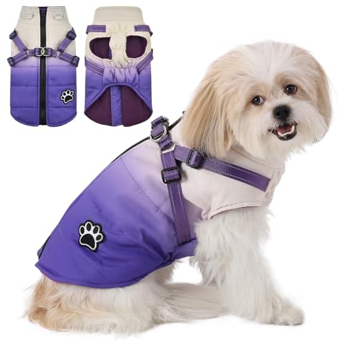 Savlot Kaltes Wetter Winter Warme Jacke für Kleine Mittlere Hunde Hundejacke Hundemantel mit Geschirr Hundemantel Grosse Hunde Mit Reißverschluss(XXL, Lila) von Savlot