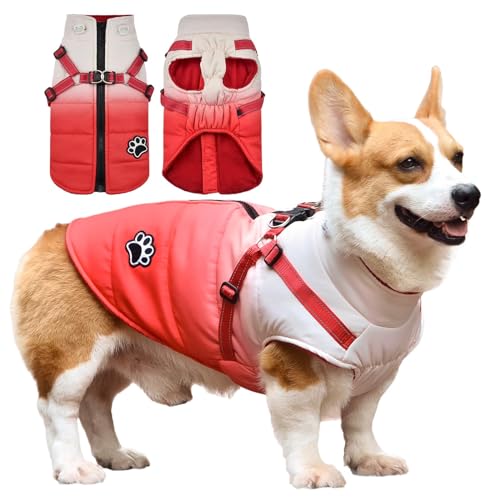 Savlot Wasserdicht Hundemantel Warme Fleece gefüttert Warme Winterjacke Hunde Bekleidung für Winter Reflektierend Welpen Winterweste (L, Rot) von Savlot