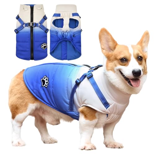 Savlot Hundejacken für den Winter Wasserdichter Hundemantel Winter Warme Jacke Welpen Winter Warme Jacke Kleines Hundejacke Outfit für kleine mittel Hunde (S, Blau) von Savlot