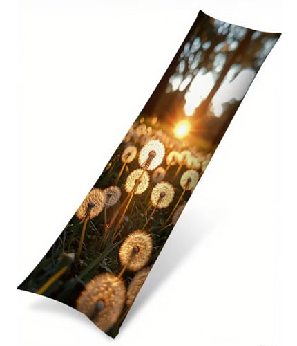 Sonnenuntergang Seitenschläferkissen Bezug 60 x 180 cm, Landschaft Kissenbezug 60 x 180 Kissen Seitenschläfer Löwenzahn Muster Samt Verbessern Sie Schlafqualität Pillow Case für Sofa Wohnzimmer T-3064 Sonnenuntergang Seitenschläferkissen Bezug 60 x 180 cm, Landschaft Kissenbezug 60 x 180 Kissen Seitenschläfer Löwenzahn Muster Samt Verbessern Sie Schlafqualität Pillow Case für Sofa Wohnzimmer T-3064 von Saweefog