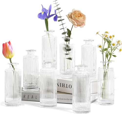 Sawoake Kleine Vasen, 8 Stück Glasvasen für Tischdeko Mini Vasen Glasfläschchen für Zuhause, Hochzeiten, Geburtstage, Feste (Transparent Vertical) von Sawoake