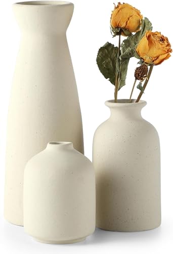 Sawoake Beige Keramik Vasen 3er-Set Kleine Blumenvasen für Dekor, Moderne rustikale Bauernhaus Home Decor, Dekorative Vasen für Pampas Grass Idee Regal (Beige) von Sawoake