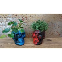 Totenkopf Blumentopf, Blumentopf von SazSkullduggery