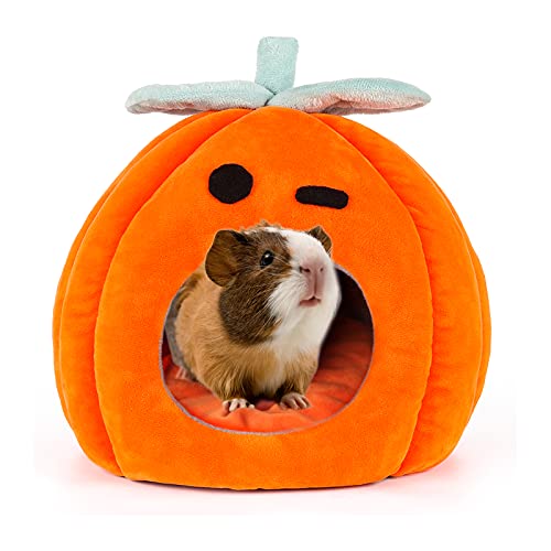 SBAYOOL Halloween Kürbis Meerschweinchen Bett, Niedlich Und Warmes Meerschweinchen Kuschelhöhle, Meerschweinchenhaus Mit Abnehmbarer Matte, Geeignet Für Igel Chinchillas 21×21×21cm SBAYOOL Halloween Kürbis Meerschweinchen Bett, Niedlich Und Warmes Meerschweinchen Kuschelhöhle, Meerschweinchenhaus Mit Abnehmbarer Matte, Geeignet Für Igel Chinchillas 21×21×21cm von Sbayool