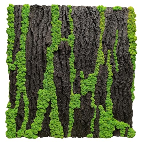 Moosplatte mit Rentiermoos und Eichenrinde Moosbild Rentiermoosbild Islandmoos Rentiermoos Moos Wandbild Wanddeko Wandbilder mit Rentiermoos Mooswand Bilder Wanddekoration mit Moos (50x50 cm) von Scandinavian Moss