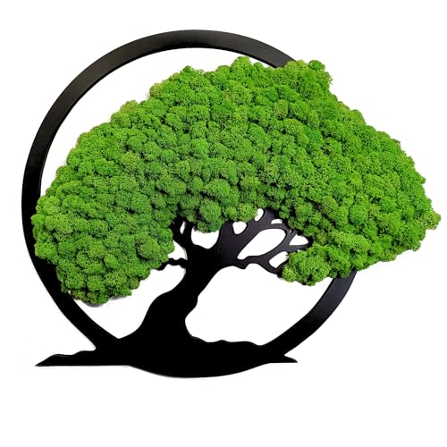 Scandinavian Moss Moosbilder in Form Eines Baumes - Schön Aussehender Wand Baum - Bringen Sie Leben Ihre Wohnung - Wandbild aus Natürlichen Rohstoffen und Deko Moos 50cm von Scandinavian Moss