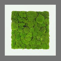 Bild Aus Dem Beutel, Moss Landing Schalter in Weißen Holzrahmen Bereitstellen von ScandynavianMoss