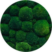 Boll Moos Poduszkowy Dunkelgrün von ScandynavianMoss