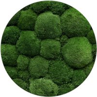 Boll Moss Moosgrün Poduszkowy Medium Boll Moss Moosgrün Poduszkowy Medium von ScandynavianMoss