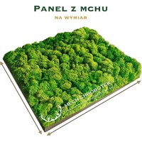 Moss Wand Wandpaneel Mit Moos Chrobotka Licht Auf Die Dimension Moss Wand Wandpaneel Mit Moos Chrobotka Licht Auf Die Dimension von ScandynavianMoss