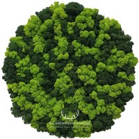 Panel-Kreis Mit Moos Chrobotka Premium-50 cm Panel-Kreis Mit Moos Chrobotka Premium-50 cm von ScandynavianMoss