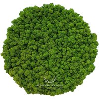 Runde Platte Mit Moos Auf Der Wand, 50 cm von ScandynavianMoss