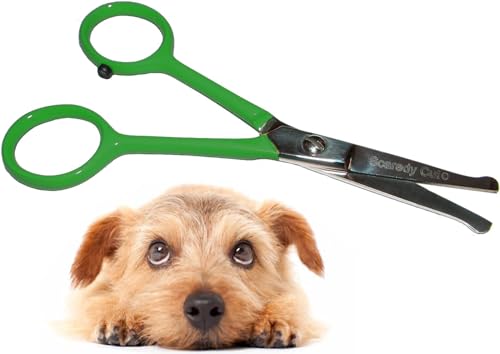 Scaredy Cut Tiny Trim - Kleine Fellpflege-Schere mit abgerundeten Spitzen für Haustiere, 11,4 cm - für Ohr, Nase, Gesicht, Pfote - für Katzen, Hunde, Haustiere - Grün von Scaredy Cut