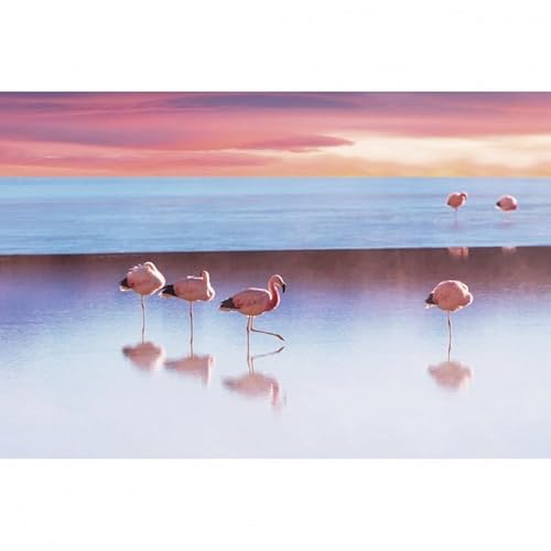 Scenolia Bild auf Leinwand Le LAC aux Flamingots 60 x 40 cm | Wanddekoration | 100 von Scenolia