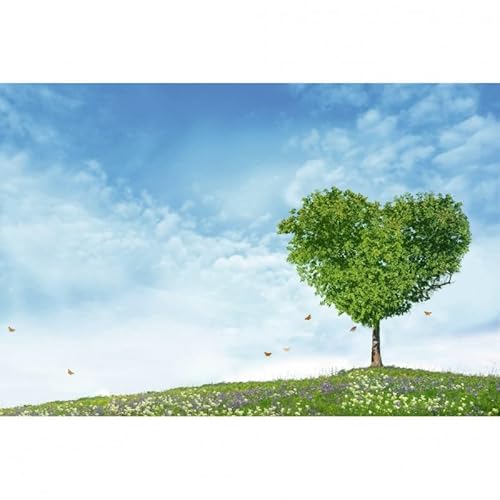 Scenolia Bild auf Leinwand Mon Baum Herzen 60 x 40 cm | Wanddeko | 100% von Scenolia