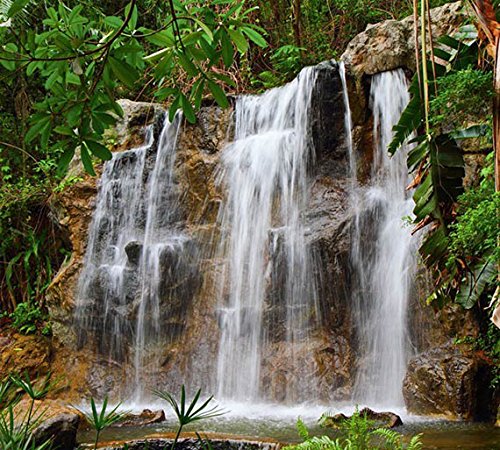 Scenolia Fototapete Panoramaposter Wasserfall 4x2,70m | Wanddeko XXL Qualität von Scenolia