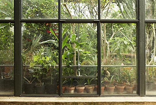 Scenolia Vliestapete für Garten und Terrasse, tropisch, 4 x 2,70 m, Wanddekoration, Trompe-l'oeil – Panorama-Tapete, XXL-Wandteppich – einfache Anbringung und HD-Qualität von Scenolia