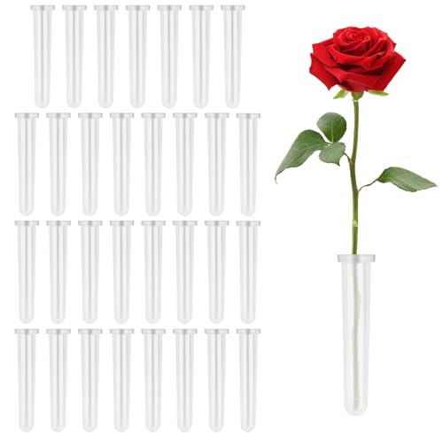 Scettar 32 Stück Reagenzgläser Für Blumen Reagenzglas Vase Blumen-Reagenzgläser Mit Deckel Ragenzglas Kunststoff 18x110 mm Geeignet für Verschiedene Anlässe, die Eine Blumendekoration Erfordern von Scettar