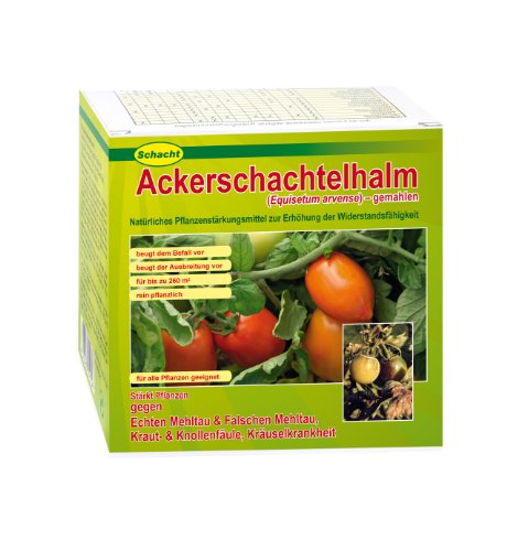 Schacht Ackerschachtelhalm 200 g von Schacht