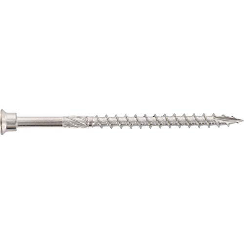 Schäfer & Peters 9.245400651666666E9 Terrassenschraube Zylinderkopf 5.0x 60 TX25 martensitisch Edelstahl gehärtet, Silber von Schäfer & Peters