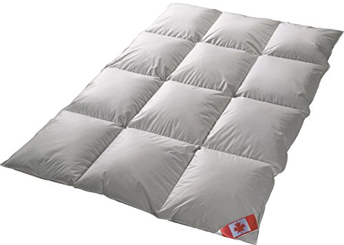 Canada extra warm Winter 8-cm Hochsteg Daunen Kassettenstegbett Daunenbett Canada 100% Daune 100% Natur Daunendecke 200x220 cm direkt vom Bettenfachgeschäft Canada extra warm Winter 8-cm Hochsteg Daunen Kassettenstegbett Daunenbett Canada 100% Daune 100% Natur Daunendecke 200x220 cm direkt vom Bettenfachgeschäft von Schäfer