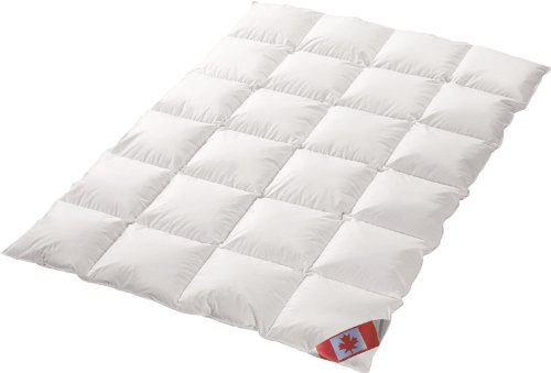 Schäfer Ganzjahres Kassettenstegbett Polaris Premium canadische Daunen Daunenbett 100% Natur Gänsedaunenbett (135x200) von Schäfer