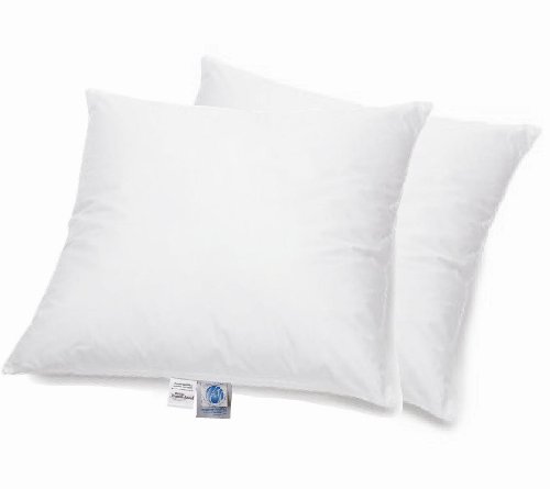 Schäfer 2-STK. Basic Kopfkissen Federkissen 100% Gänse Federn 80x80 cm von Schäfer