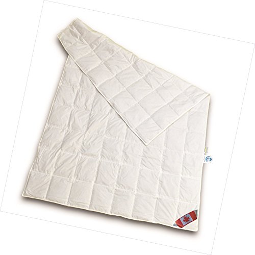 Schäfer Canadische Daune Sommerdecke 100% Daunen Kassettensteppdecke canadische Daune 100% Natur Daunendecke 155x220 cm direkt vom Bettenfachgeschäft von Schäfer