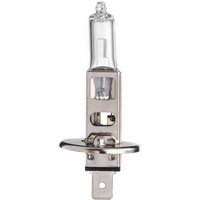 Scharnberger+Hasenbein Autolampe Halogen H1 P14,5s 12V 55W 81111 - 81111 von Scharnberger + Hasenbein