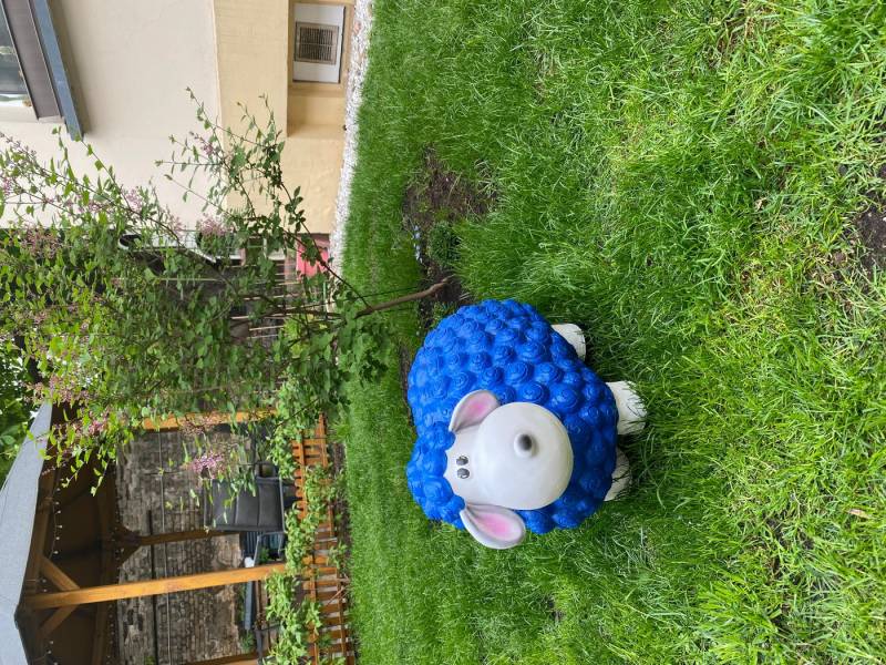 Schatzkiste1 Gartenfigur VIP Schaf Dekoschaf Witziges Schaf Wetterfest Bunte Gartenfigur von Schatzkiste1